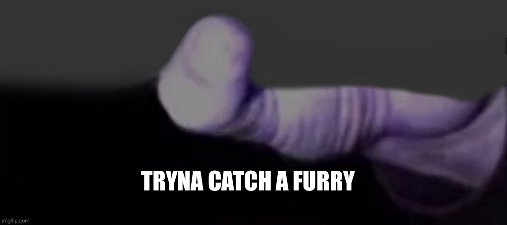 Tryna catch a furry | TRYNA CATCH A FURRY | image tagged in thanos trying to catch 2 | made w/ Imgflip meme maker