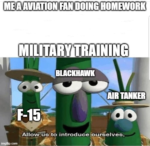 Allow us to introduce ourselves | ME A AVIATION FAN DOING HOMEWORK; MILITARY TRAINING; BLACKHAWK; AIR TANKER; F-15 | image tagged in allow us to introduce ourselves | made w/ Imgflip meme maker