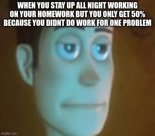 bruh moment | WHEN YOU STAY UP ALL NIGHT WORKING ON YOUR HOMEWORK BUT YOU ONLY GET 50% BECAUSE YOU DIDNT DO WORK FOR ONE PROBLEM | image tagged in disappointed woody | made w/ Imgflip meme maker