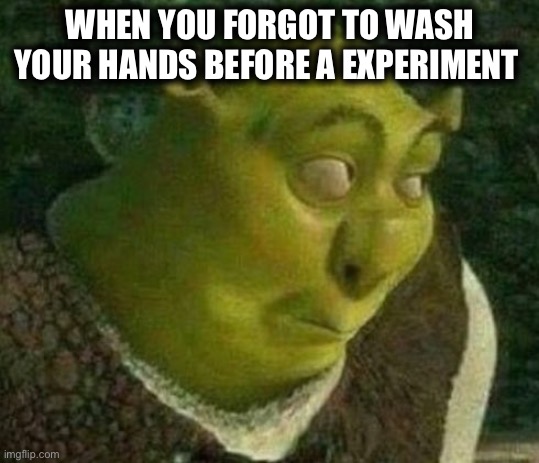 Oops | WHEN YOU FORGOT TO WASH YOUR HANDS BEFORE A EXPERIMENT | image tagged in oops shrek | made w/ Imgflip meme maker