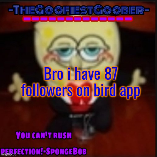 -TheGoofiestGoober Idk.jpg Announcement Template | Bro i have 87 followers on bird app | image tagged in -thegoofiestgoober idk jpg announcement template | made w/ Imgflip meme maker