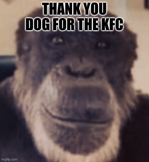 monk | THANK YOU DOG FOR THE KFC | image tagged in monk | made w/ Imgflip meme maker