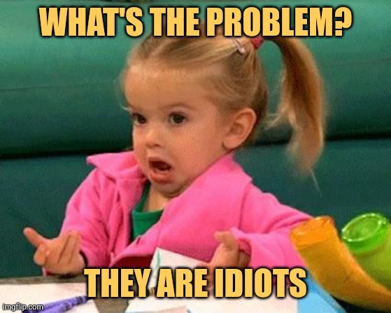 They Are Idiots | WHAT'S THE PROBLEM? THEY ARE IDIOTS | image tagged in i don't know good luck charlie,funny,memes,insult,judgemental,idiots | made w/ Imgflip meme maker