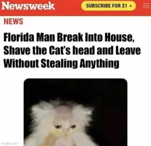 The cat's head tho XD | image tagged in memes,reposts | made w/ Imgflip meme maker