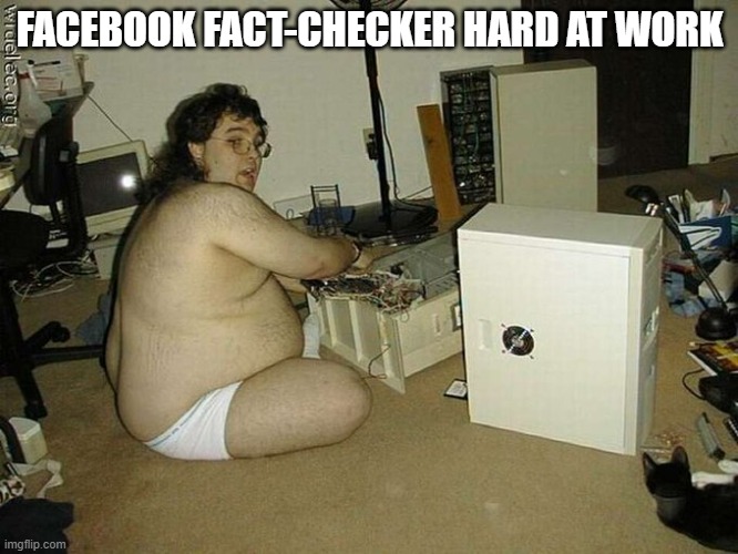 Funny truths | FACEBOOK FACT-CHECKER HARD AT WORK | image tagged in funny memes | made w/ Imgflip meme maker