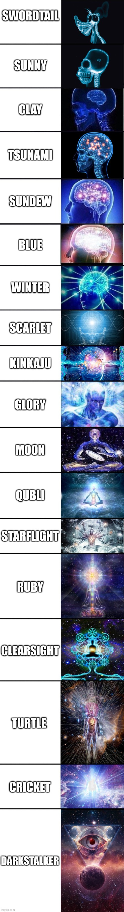 expanding brain: 9001 | SWORDTAIL; SUNNY; CLAY; TSUNAMI; SUNDEW; BLUE; WINTER; SCARLET; KINKAJU; GLORY; MOON; QUBLI; STARFLIGHT; RUBY; CLEARSIGHT; TURTLE; CRICKET; DARKSTALKER | image tagged in expanding brain 9001 | made w/ Imgflip meme maker