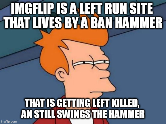 Futurama Fry Meme | IMGFLIP IS A LEFT RUN SITE 
THAT LIVES BY A BAN HAMMER; THAT IS GETTING LEFT KILLED, 
AN STILL SWINGS THE HAMMER | image tagged in memes,futurama fry | made w/ Imgflip meme maker