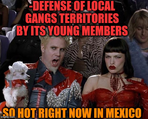 -Coke smuggling. | -DEFENSE OF LOCAL GANGS TERRITORIES BY ITS YOUNG MEMBERS; SO HOT RIGHT NOW IN MEXICO | image tagged in memes,mugatu so hot right now,penguin gang,happy mexican,tower defense simulator,don't do drugs | made w/ Imgflip meme maker