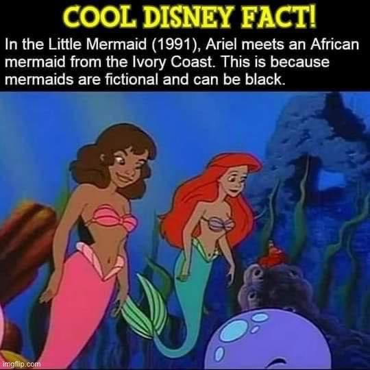 Black Little Mermaid | image tagged in black little mermaid | made w/ Imgflip meme maker