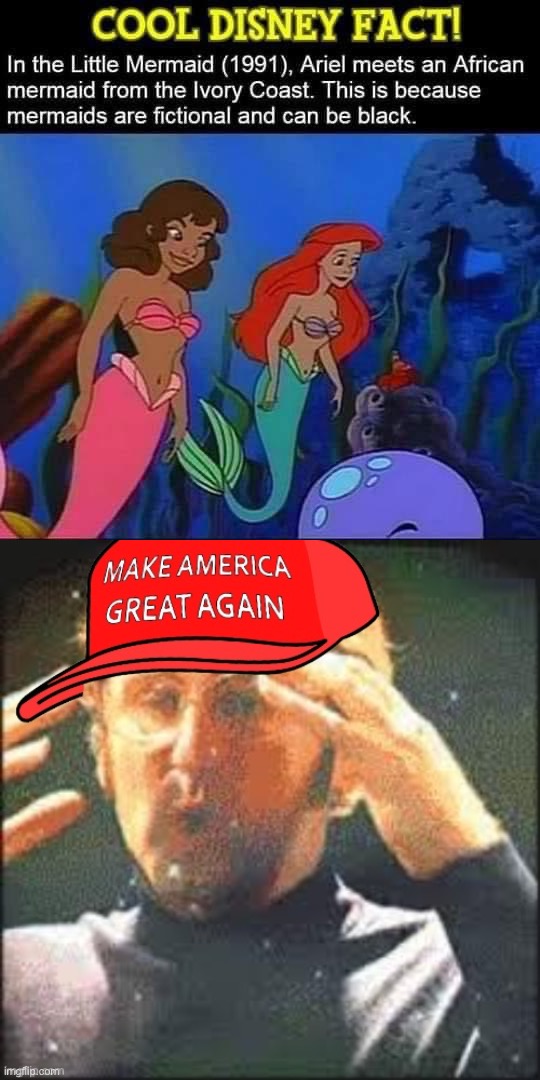 “Wait. That’s illegal.” —Racists | image tagged in black little mermaid,maga mind blown,disney,the little mermaid,little mermaid,racist | made w/ Imgflip meme maker