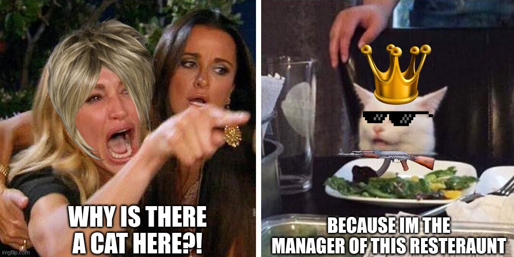 Cat = Manager | BECAUSE IM THE MANAGER OF THIS RESTERAUNT; WHY IS THERE A CAT HERE?! | image tagged in smudge the cat | made w/ Imgflip meme maker