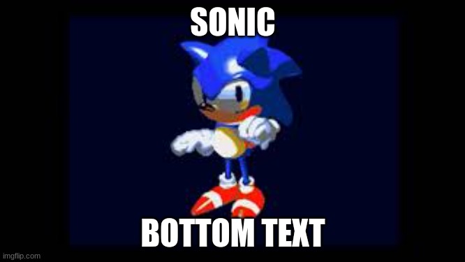 Prototype Sonic | SONIC; BOTTOM TEXT | image tagged in prototype sonic | made w/ Imgflip meme maker