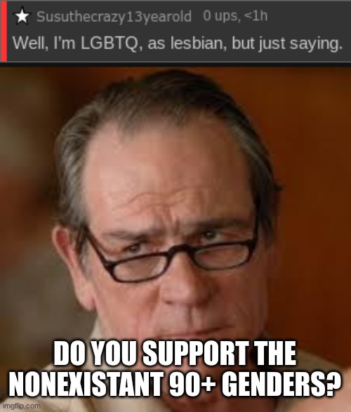 i hope to god not | DO YOU SUPPORT THE NONEXISTANT 90+ GENDERS? | image tagged in my face when someone asks a stupid question | made w/ Imgflip meme maker