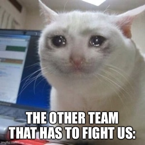 Crying cat | THE OTHER TEAM THAT HAS TO FIGHT US: | image tagged in crying cat | made w/ Imgflip meme maker