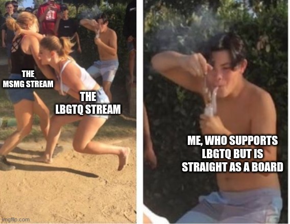 Dabbing Dude | THE MSMG STREAM; THE LBGTQ STREAM; ME, WHO SUPPORTS LBGTQ BUT IS STRAIGHT AS A BOARD | image tagged in dabbing dude,msmg,lgbtq | made w/ Imgflip meme maker