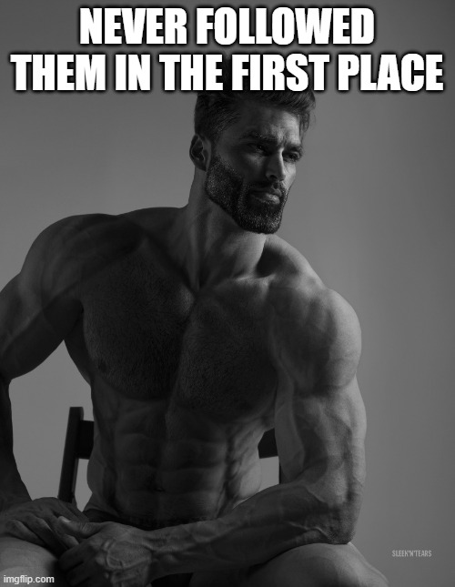 Giga Chad | NEVER FOLLOWED THEM IN THE FIRST PLACE | image tagged in giga chad | made w/ Imgflip meme maker