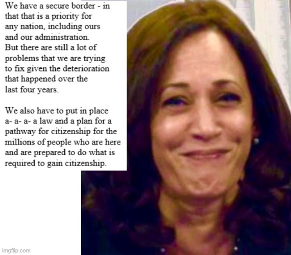 Veep Thoughts #24 | image tagged in kamala harris | made w/ Imgflip meme maker