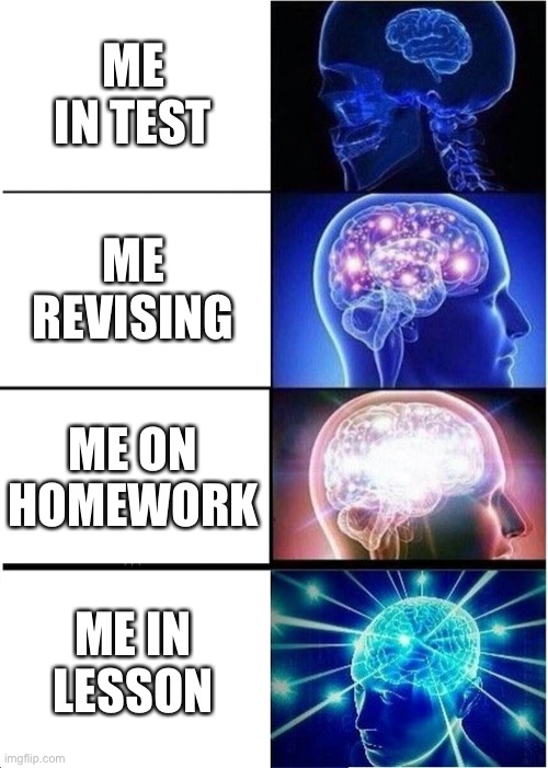 My school life | ME IN TEST; ME REVISING; ME ON HOMEWORK; ME IN LESSON | image tagged in memes,expanding brain | made w/ Imgflip meme maker