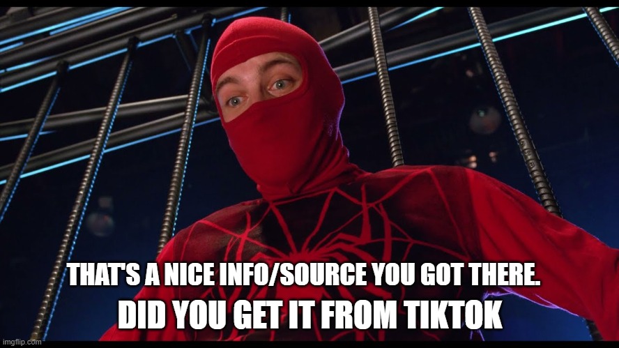thats a cute outfit did your husband give it to you | DID YOU GET IT FROM TIKTOK; THAT'S A NICE INFO/SOURCE YOU GOT THERE. | image tagged in thats a cute outfit did your husband give it to you,spiderman,human spider | made w/ Imgflip meme maker