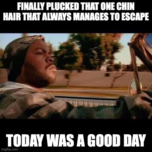 one of many chin hairs, tbh | FINALLY PLUCKED THAT ONE CHIN HAIR THAT ALWAYS MANAGES TO ESCAPE; TODAY WAS A GOOD DAY | image tagged in ice cube today was a good day | made w/ Imgflip meme maker