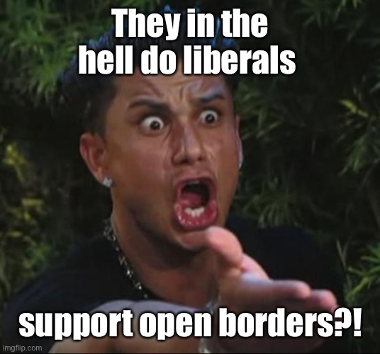 DJ Pauly D Meme | They in the hell do liberals support open borders?! | image tagged in memes,dj pauly d | made w/ Imgflip meme maker