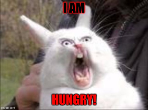 Hungry Rabbit | I AM; HUNGRY! | image tagged in hungry rabbit | made w/ Imgflip meme maker