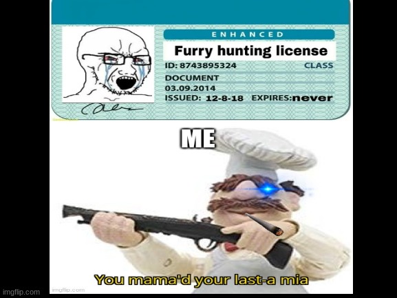 you mamaed your last a mia | image tagged in furry,you know the rules it's time to die | made w/ Imgflip meme maker