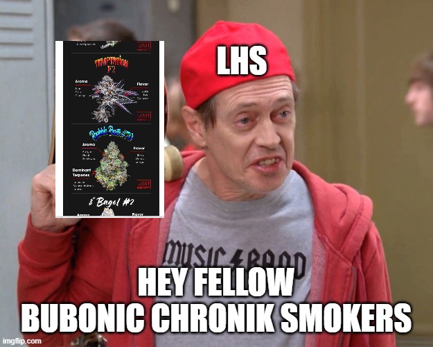 Steve Buscemi Fellow Kids | LHS; HEY FELLOW BUBONIC CHRONIK SMOKERS | image tagged in steve buscemi fellow kids | made w/ Imgflip meme maker