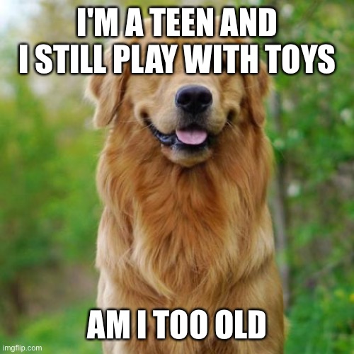Golden Retriever | I'M A TEEN AND I STILL PLAY WITH TOYS; AM I TOO OLD | image tagged in golden retriever | made w/ Imgflip meme maker
