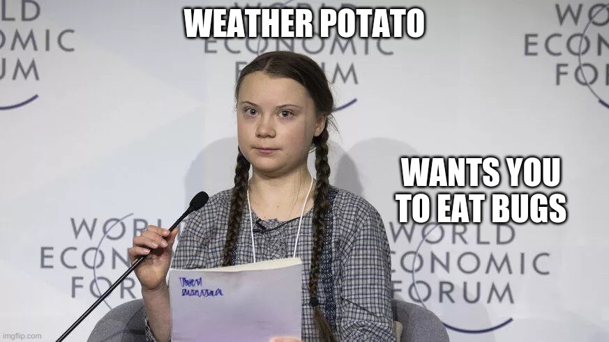 Weather potato | WEATHER POTATO; WANTS YOU TO EAT BUGS | image tagged in smartass | made w/ Imgflip meme maker