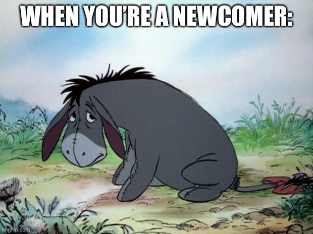 eeyore | WHEN YOU’RE A NEWCOMER: | image tagged in eeyore | made w/ Imgflip meme maker