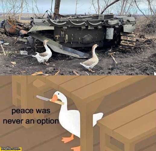 Bro caught in 24k | image tagged in untitled goose peace was never an option | made w/ Imgflip meme maker