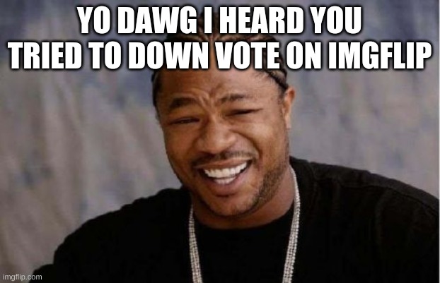 imagine trying to downvote | YO DAWG I HEARD YOU TRIED TO DOWN VOTE ON IMGFLIP | image tagged in memes,yo dawg heard you | made w/ Imgflip meme maker