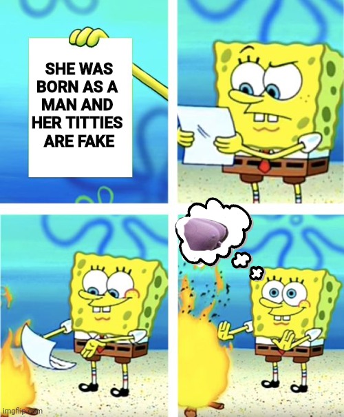 Spongebob Burning Paper | SHE WAS
BORN AS A 
MAN AND 
HER TITTIES 
ARE FAKE | image tagged in spongebob burning paper | made w/ Imgflip meme maker
