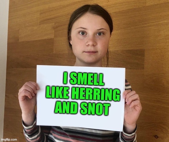 and Vick's Vaporub | image tagged in greta thunberg | made w/ Imgflip meme maker