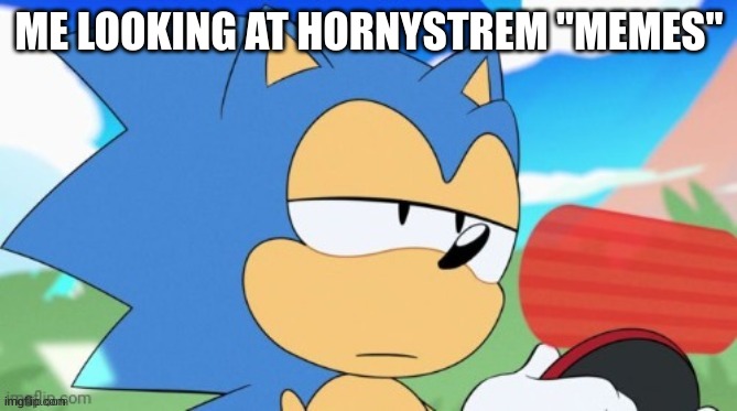 sonic unamused | ME LOOKING AT HORNYSTREM "MEMES" | image tagged in sonic unamused | made w/ Imgflip meme maker