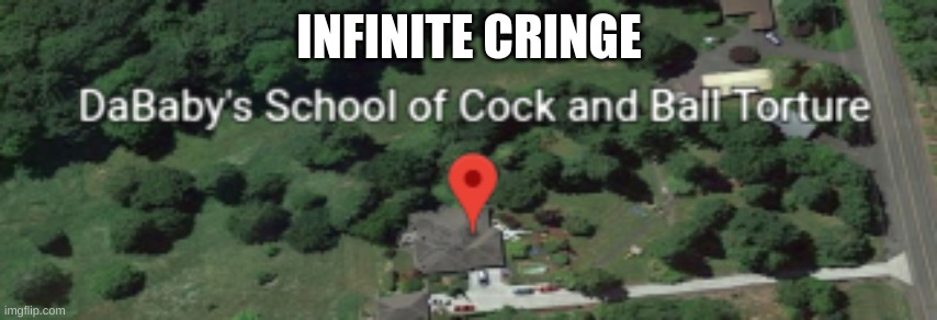 i died of cringe | INFINITE CRINGE | image tagged in meme | made w/ Imgflip meme maker