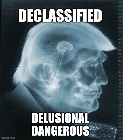 Declassified | DECLASSIFIED; DELUSIONAL
DANGEROUS | image tagged in trump's brain,declassified,delusional,dangerous,degenerate | made w/ Imgflip meme maker