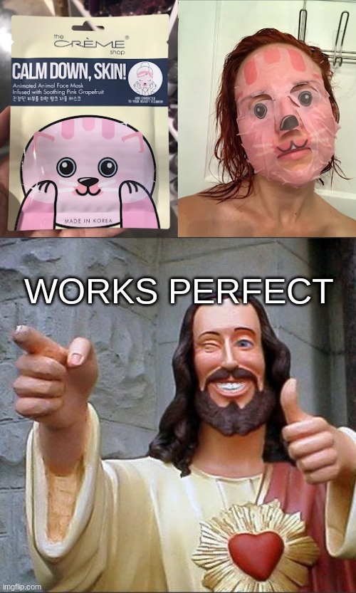 Works Perfect | WORKS PERFECT | image tagged in memes,buddy christ,lol,funny,you had one job just the one,you had one job | made w/ Imgflip meme maker
