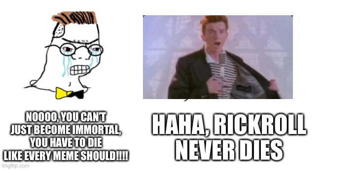 In 20000000000000000, everything will disappear, and this is the only known thing yet thriving |  NOOOO, YOU CAN’T JUST BECOME IMMORTAL, YOU HAVE TO DIE LIKE EVERY MEME SHOULD!!!! HAHA, RICKROLL NEVER DIES | image tagged in nooo haha go brrr,rickroll,haha money printer go brrr,memes,immortal | made w/ Imgflip meme maker