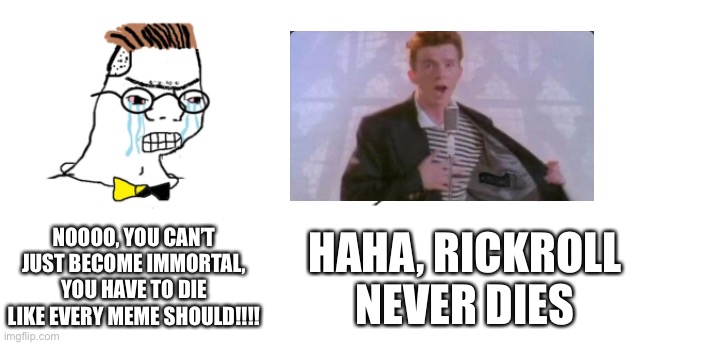 In 20000000000000000, everything will disappear, and this is the only known thing yet thriving | NOOOO, YOU CAN’T JUST BECOME IMMORTAL, YOU HAVE TO DIE LIKE EVERY MEME SHOULD!!!! HAHA, RICKROLL NEVER DIES | image tagged in nooo haha go brrr,rickroll,haha money printer go brrr,memes,immortal | made w/ Imgflip meme maker