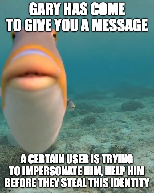 staring fish | GARY HAS COME TO GIVE YOU A MESSAGE; A CERTAIN USER IS TRYING TO IMPERSONATE HIM, HELP HIM BEFORE THEY STEAL THIS IDENTITY | image tagged in staring fish | made w/ Imgflip meme maker