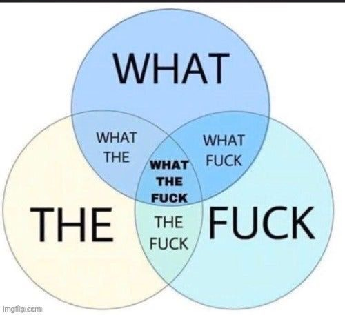 what the fuck what the what fuck what the fuck the fuck Blank Meme Template