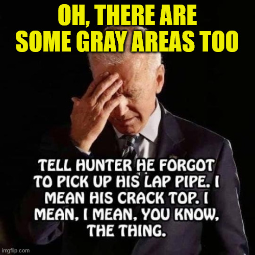 OH, THERE ARE SOME GRAY AREAS TOO | made w/ Imgflip meme maker