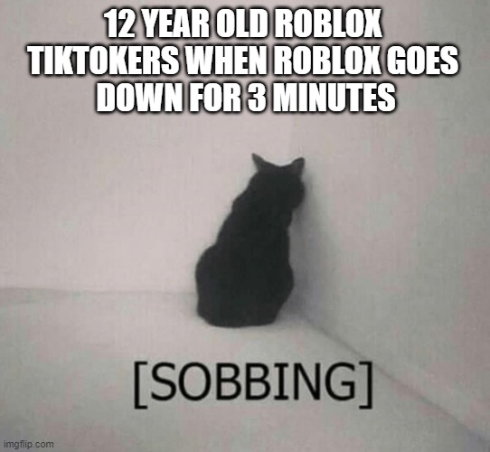 Anyone who's Literally Crying Over a Game Breaking Down Needs to Touch Some Grass. |  12 YEAR OLD ROBLOX 
TIKTOKERS WHEN ROBLOX GOES 
DOWN FOR 3 MINUTES | image tagged in sobbing cat,roblox,roblox meme,roblox down | made w/ Imgflip meme maker