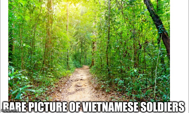 RARE PICTURE OF VIETNAMESE SOLDIERS | image tagged in vietnam | made w/ Imgflip meme maker