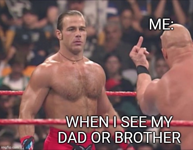 HBK And Austin Flip Off | ME: WHEN I SEE MY DAD OR BROTHER | image tagged in hbk and austin flip off | made w/ Imgflip meme maker