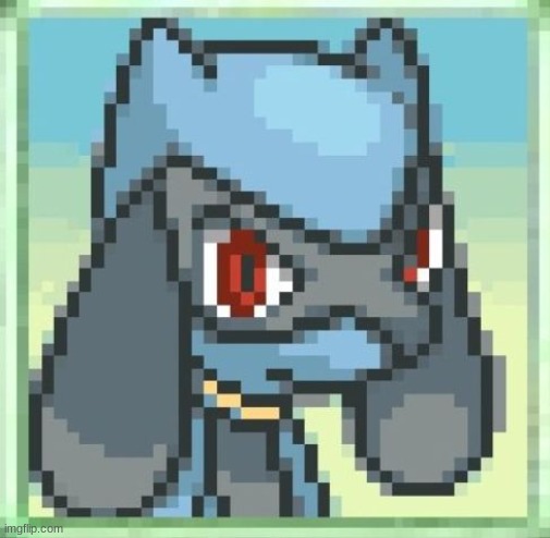 ;) | image tagged in pok mon md riolu reaction | made w/ Imgflip meme maker