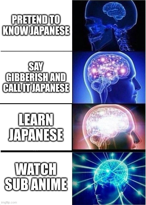 Expanding Brain | PRETEND TO KNOW JAPANESE; SAY GIBBERISH AND CALL IT JAPANESE; LEARN JAPANESE; WATCH SUB ANIME | image tagged in memes,expanding brain | made w/ Imgflip meme maker