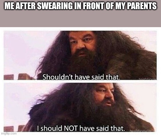 Hagrid shouldn't have said that | ME AFTER SWEARING IN FRONT OF MY PARENTS | image tagged in hagrid shouldn't have said that | made w/ Imgflip meme maker